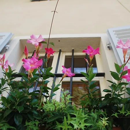 Il Belvedere *